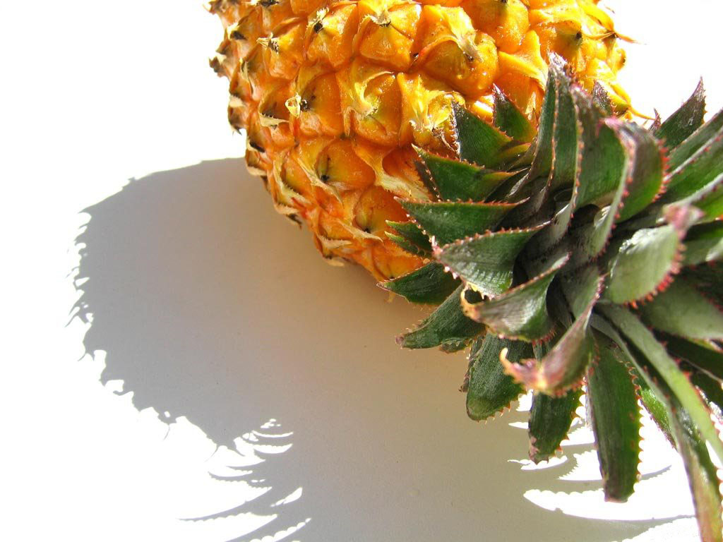 Pineapple Desktop - HD Wallpaper 