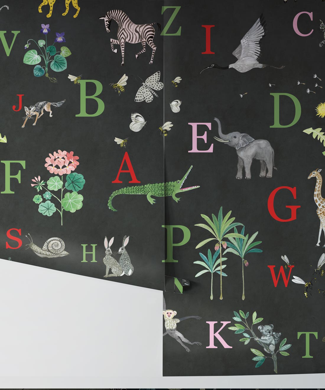 Bethany Linz Noah's Abc - HD Wallpaper 