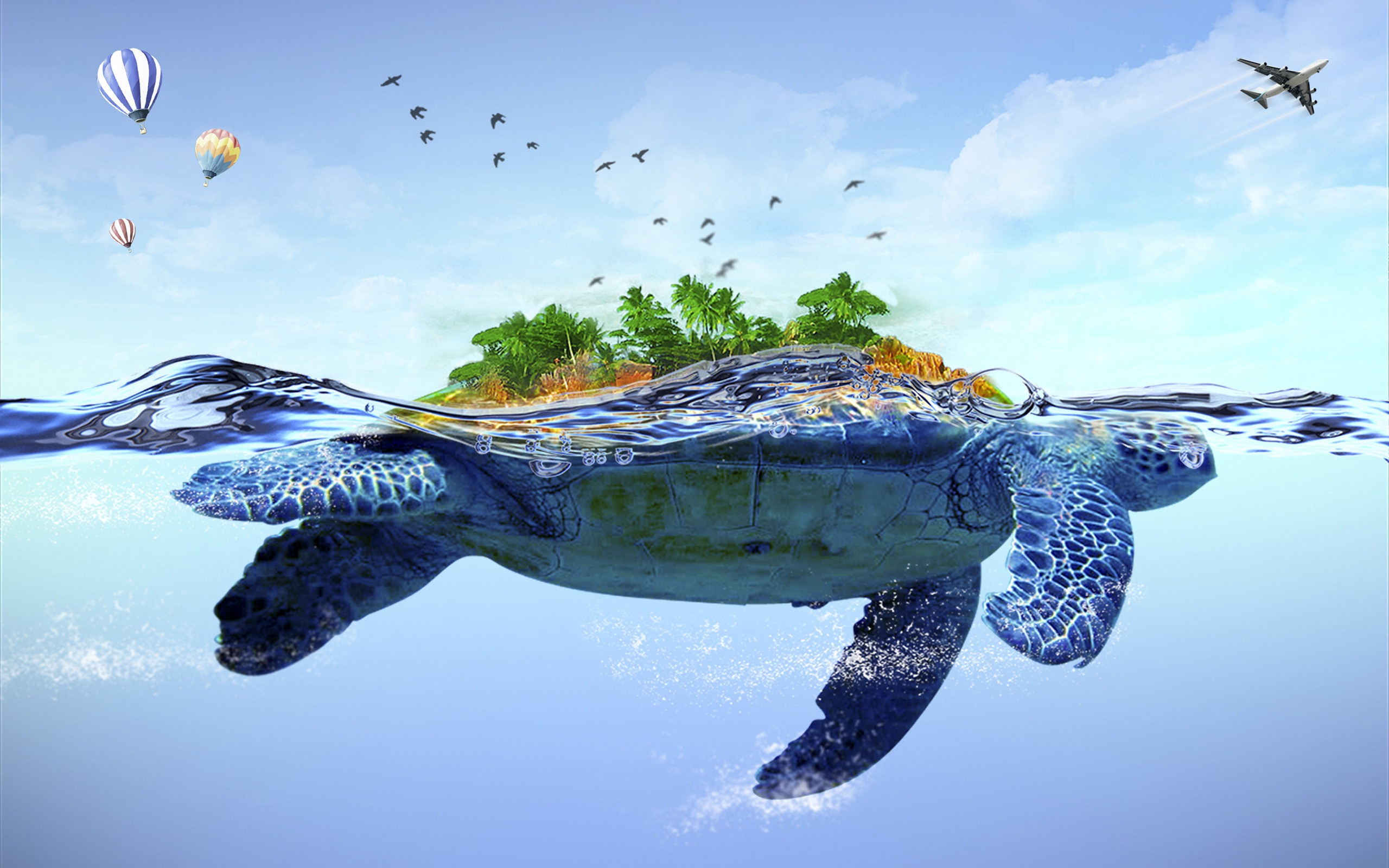 Hd Turtle Wallpaper 
 Data Src - Cool Turtle Background - HD Wallpaper 