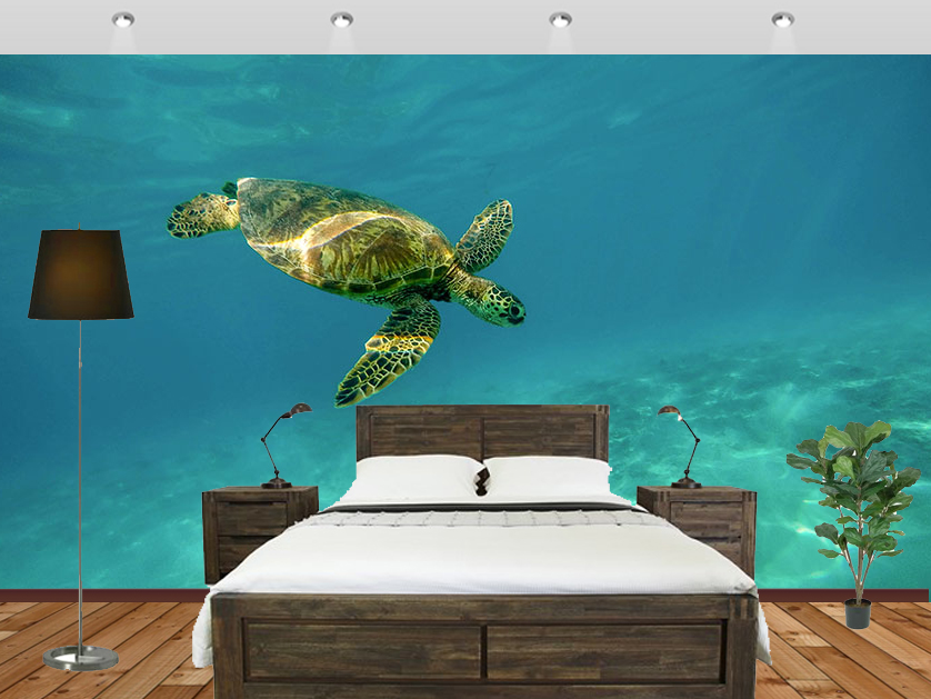 Free Customised Hd Turtle Wall Murals Bedroom - Orange Shade On Wall - HD Wallpaper 