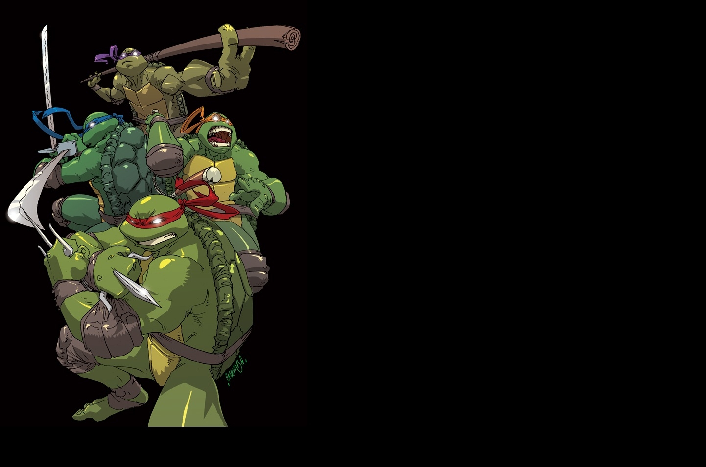 Teenage Mutant Hero Turtles - HD Wallpaper 
