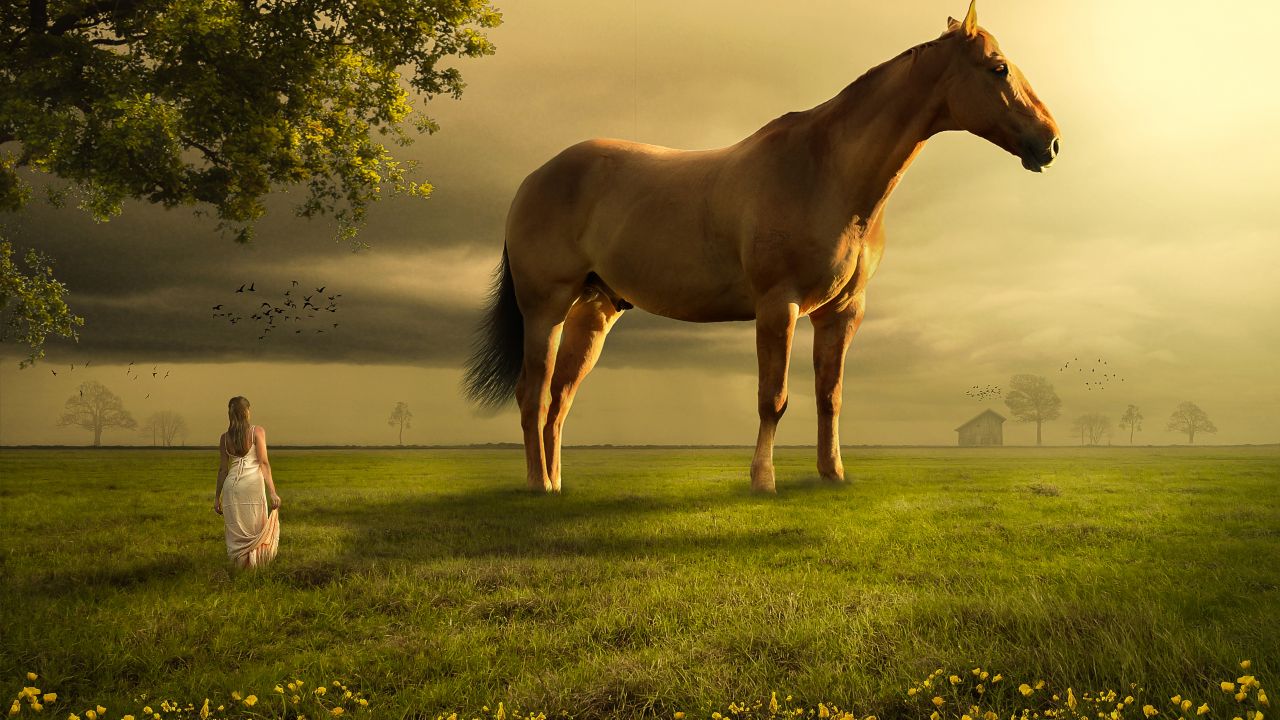 Dream Girl And Horse - HD Wallpaper 