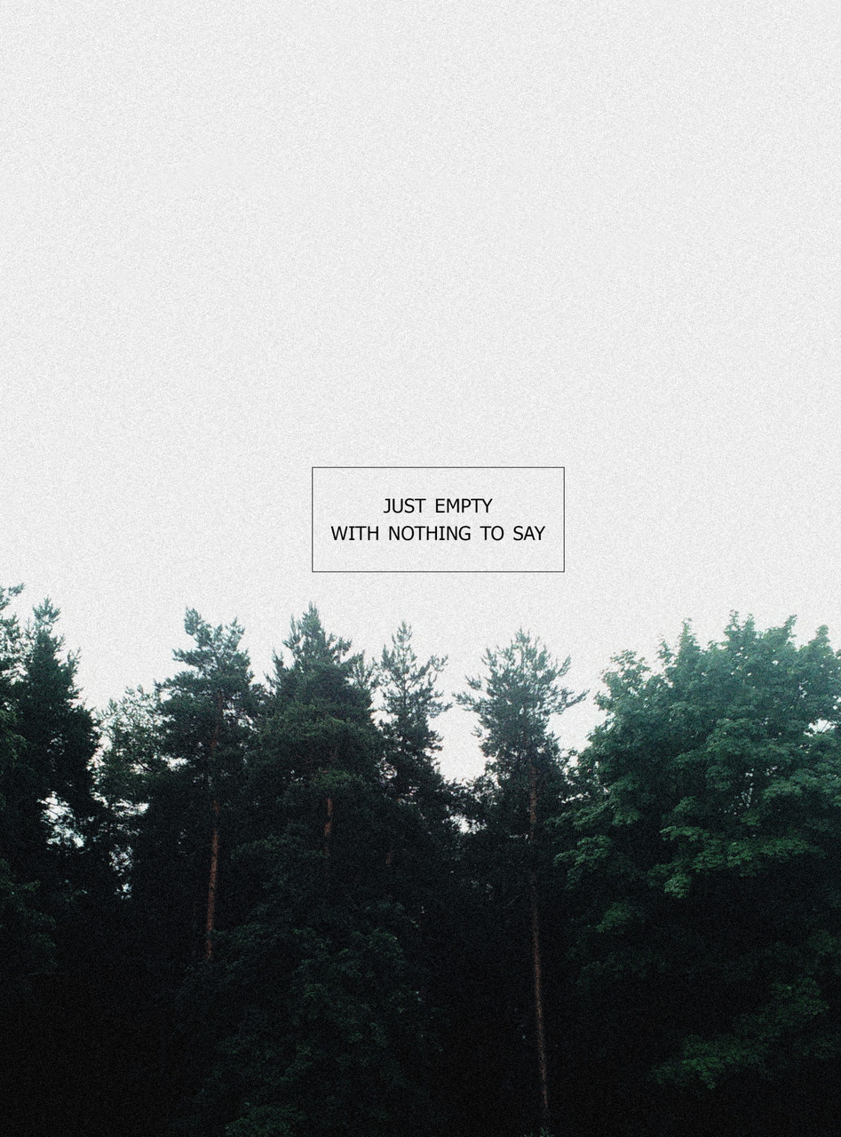 Empty, Forest, And Sad Image - Shortleaf Black Spruce - HD Wallpaper 