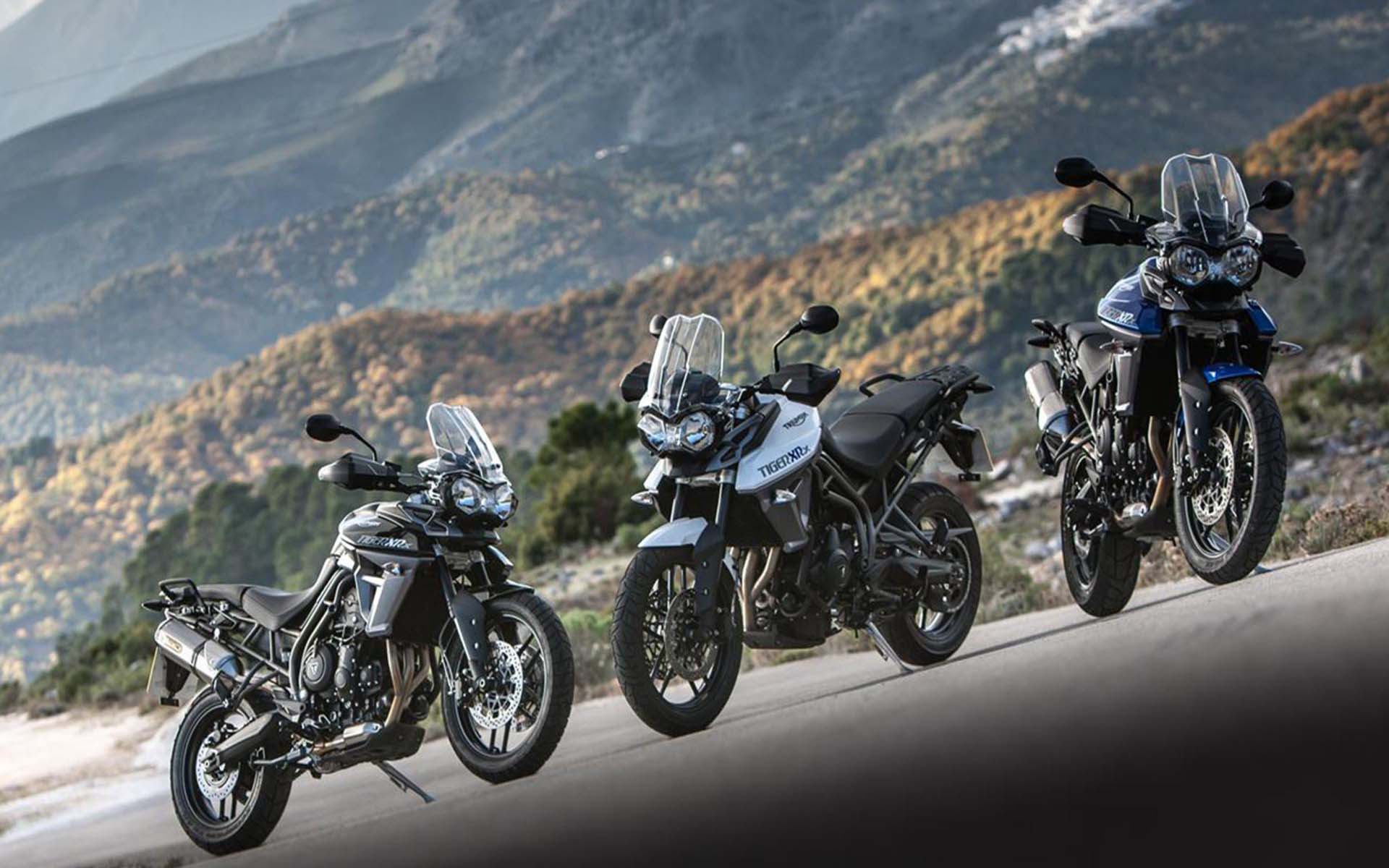 Triumph Tiger Wallpaper Hd - HD Wallpaper 