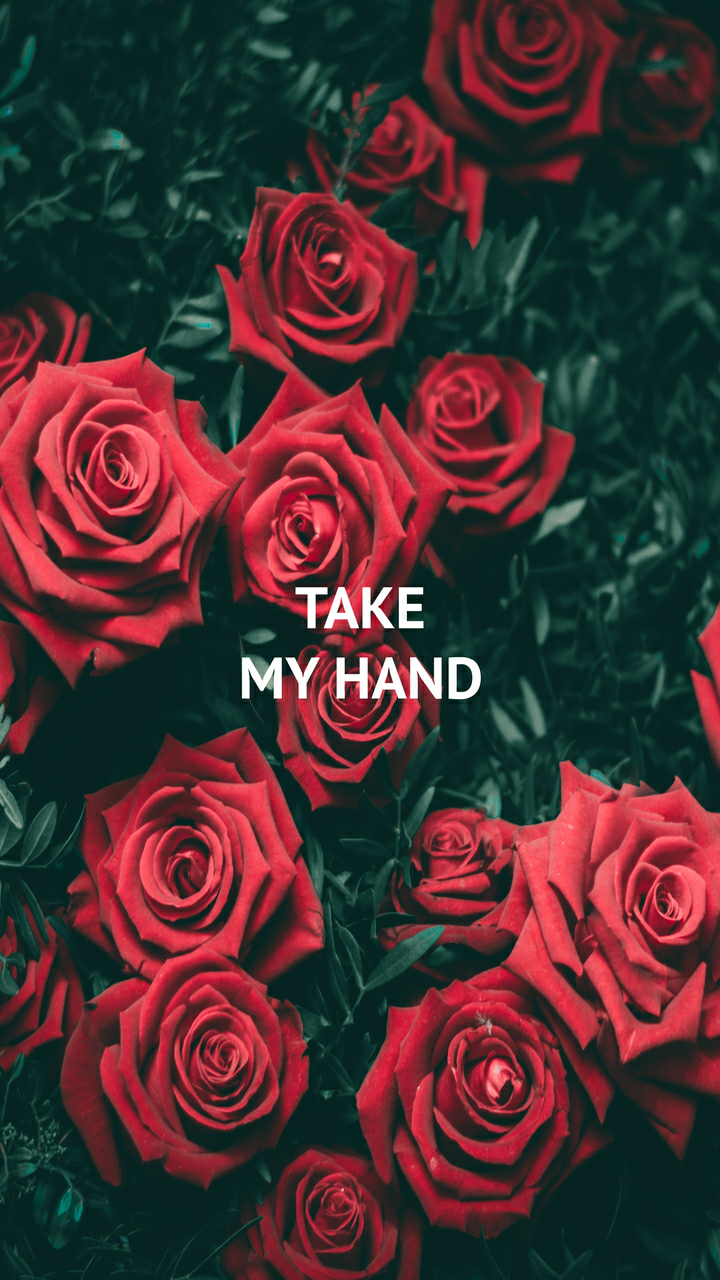 Red, Rose, And Hand Image - Roses Wallpaper For Iphone 7 - HD Wallpaper 