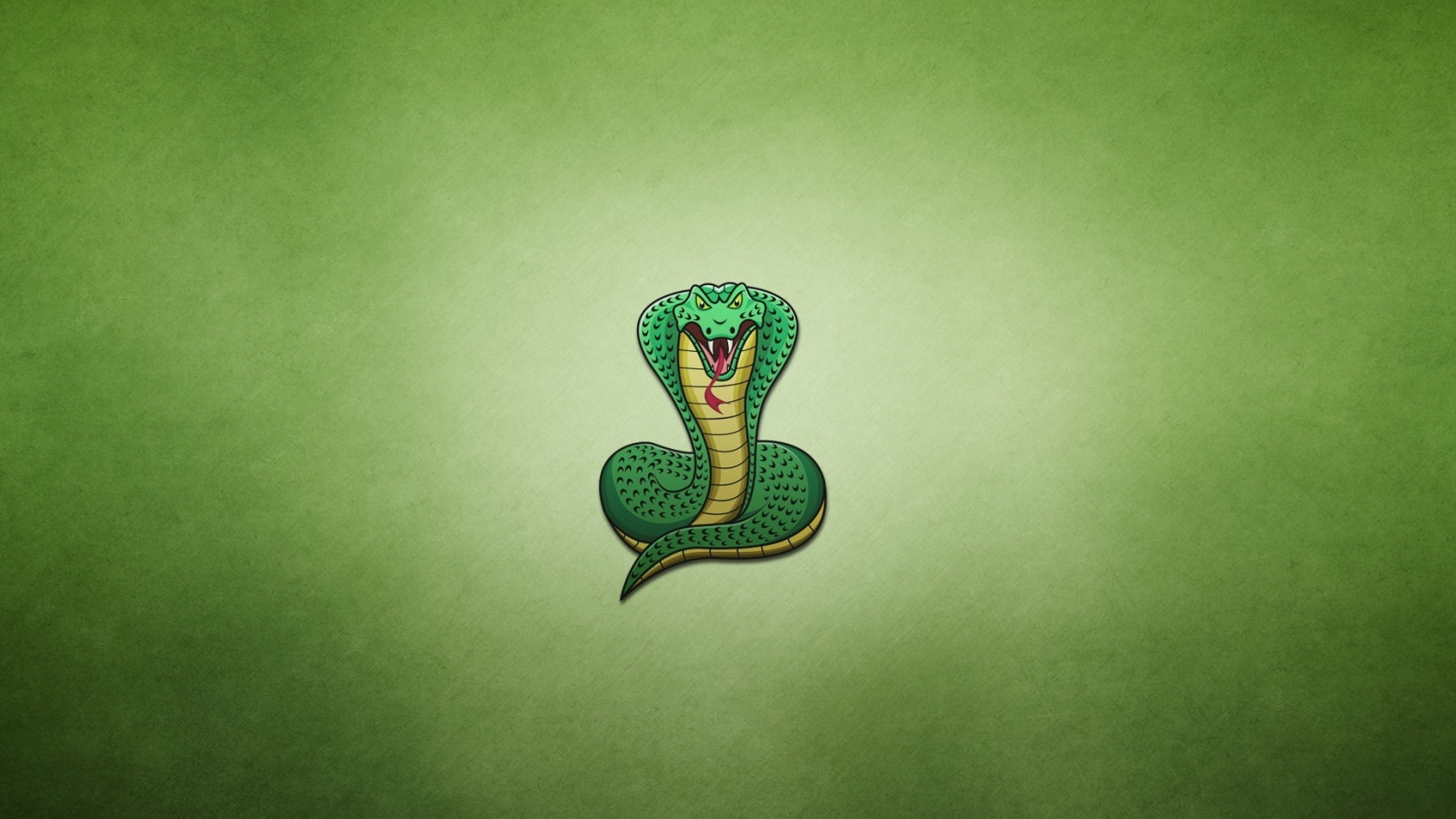 Indian Cobra - HD Wallpaper 