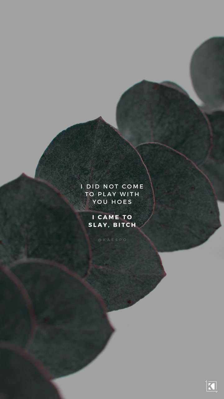 Wallpaper And Slay Image - Did Not Come To Play With You Hoes I Came To Slay Bitch - HD Wallpaper 