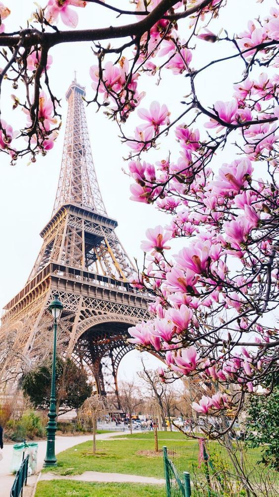 Eiffel Tower - HD Wallpaper 