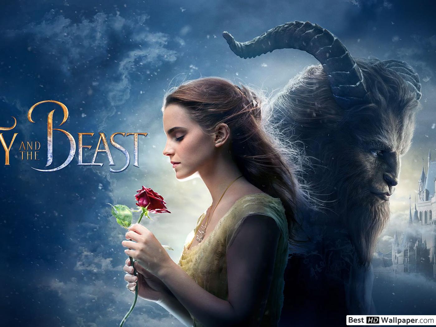 Cinderella And Beauty And The Beast - HD Wallpaper 