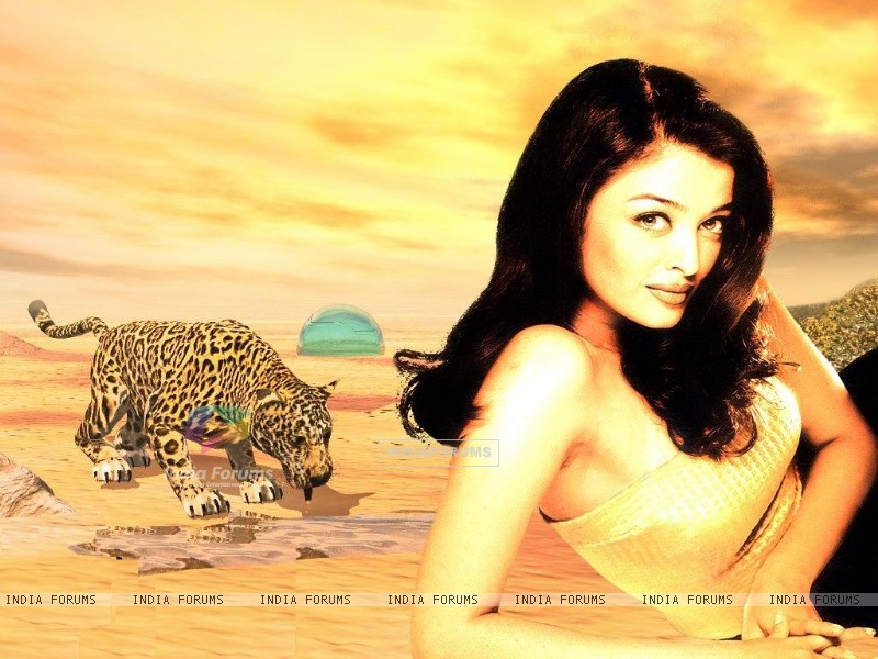 Wallpapers Hello Kitty23 - Photo Shoot - HD Wallpaper 