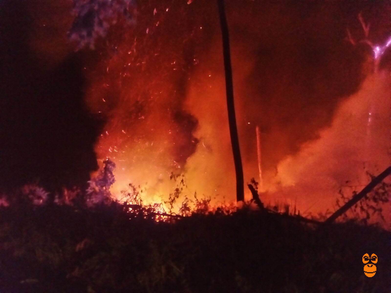 Flame - HD Wallpaper 