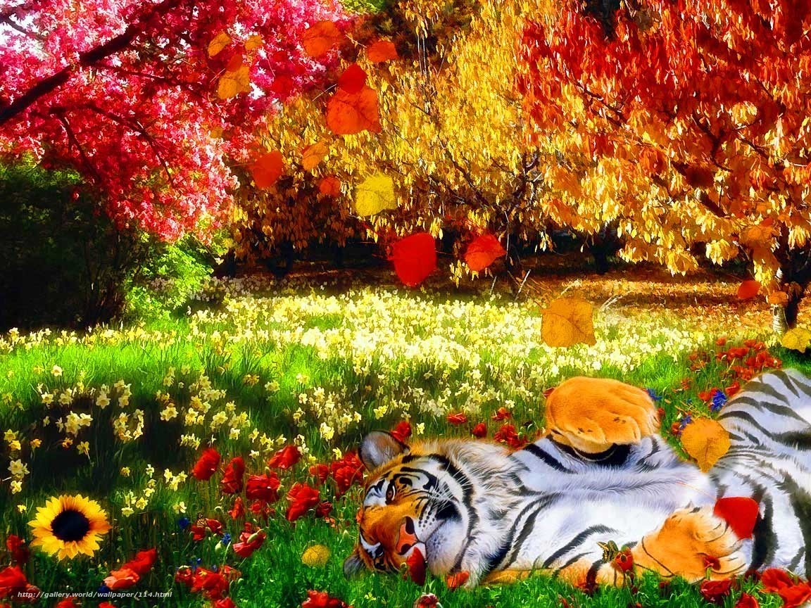 Download Wallpaper Tiger, Nature, Bright Colors, Heat - Computer Desktop Wallpaper Full Screen Nature - HD Wallpaper 