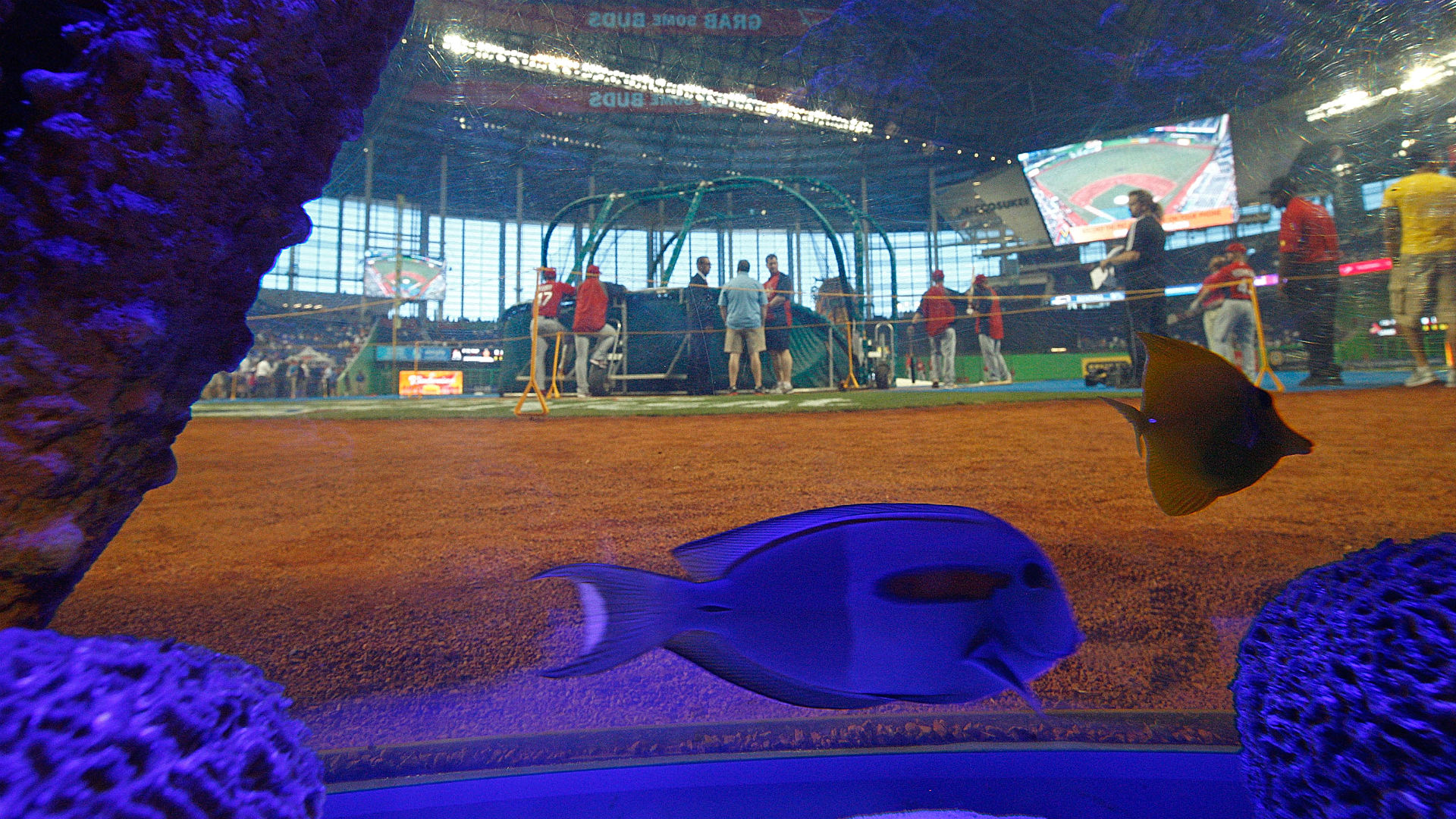 Marlins Park Fish Tank - Marlins Park - HD Wallpaper 