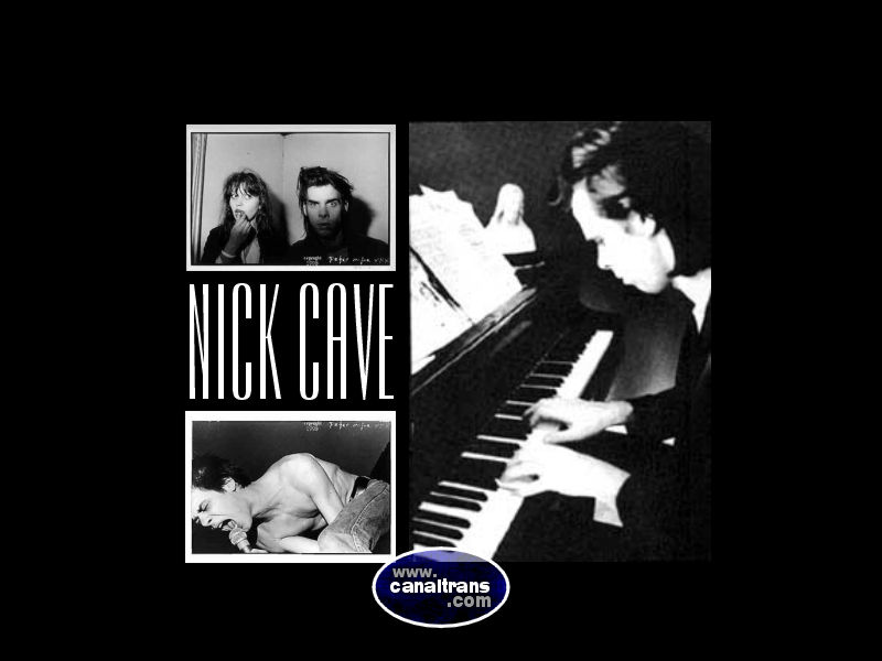 Nick Cave - Wallpaper - Nick Cave & The Bad Seeds Are You The One That - HD Wallpaper 