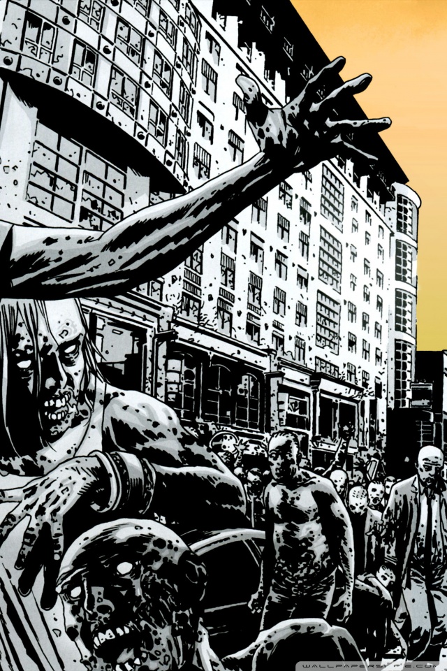 Walking Dead Comic Books - HD Wallpaper 