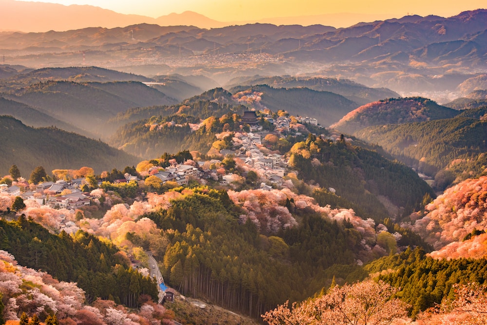 Yoshinoyama Nara - HD Wallpaper 