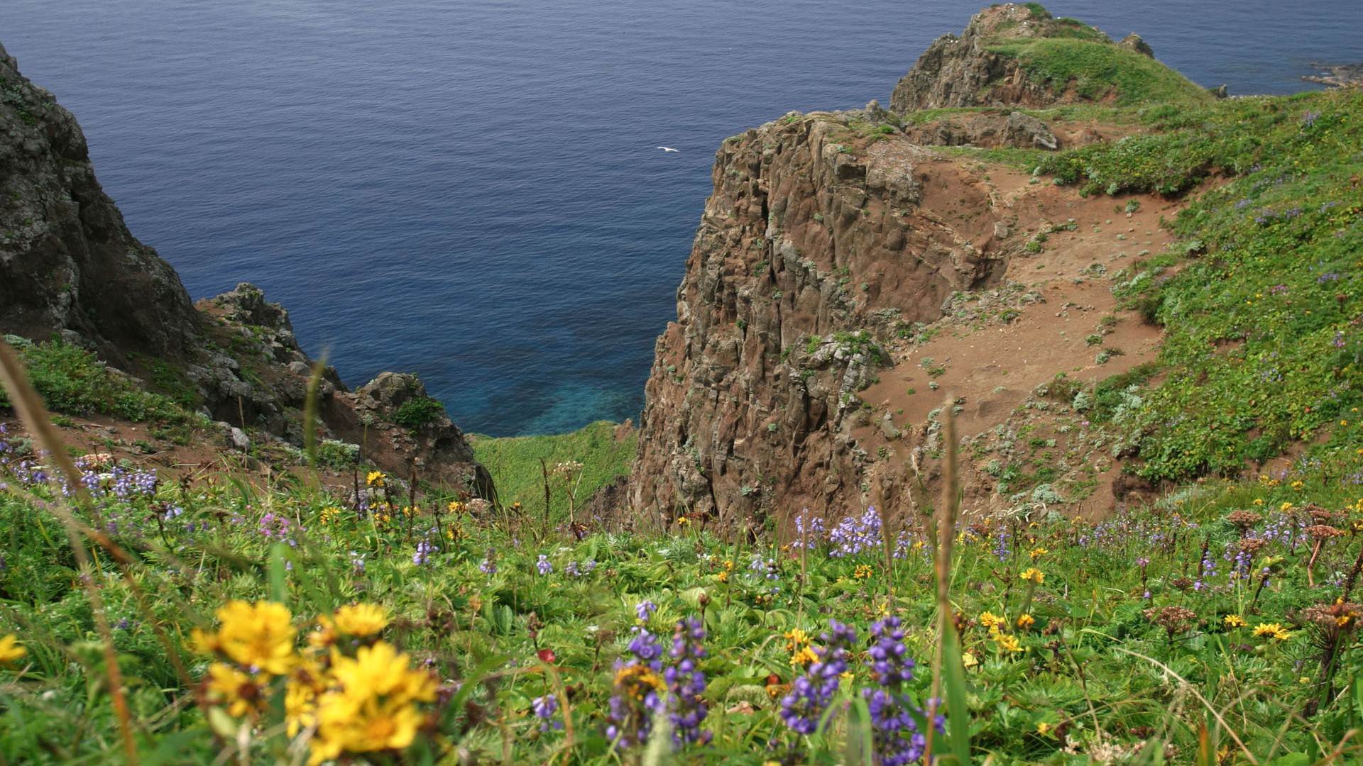 Japan S Natural Scenery Wallpaper - Landscape - HD Wallpaper 