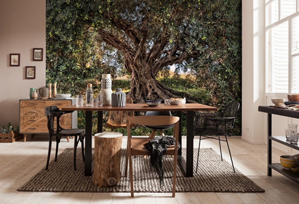 Olive Tree Wall Mural - HD Wallpaper 