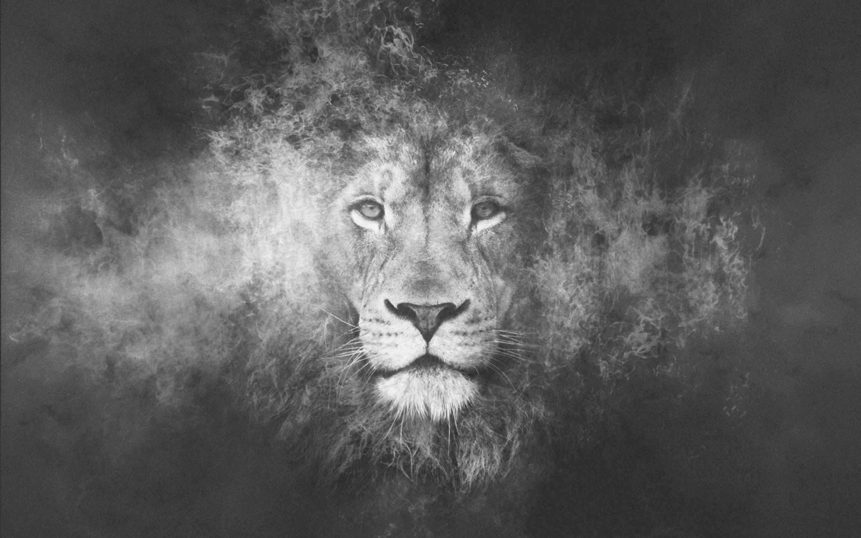 Cool Lion Backgrounds - Lion Background - 2880x1800 Wallpaper 