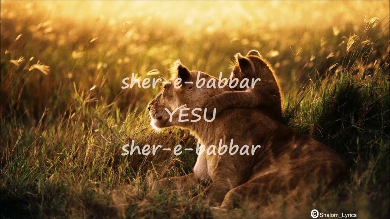 World Wildlife Day 2018 - HD Wallpaper 