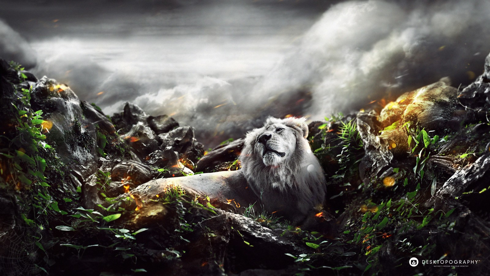Jungle With Lion Background Hd - HD Wallpaper 