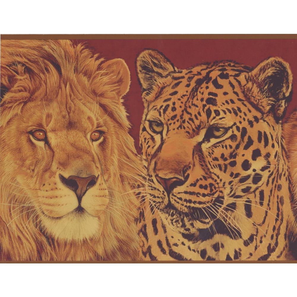 Different Wild Big Cats Together - HD Wallpaper 