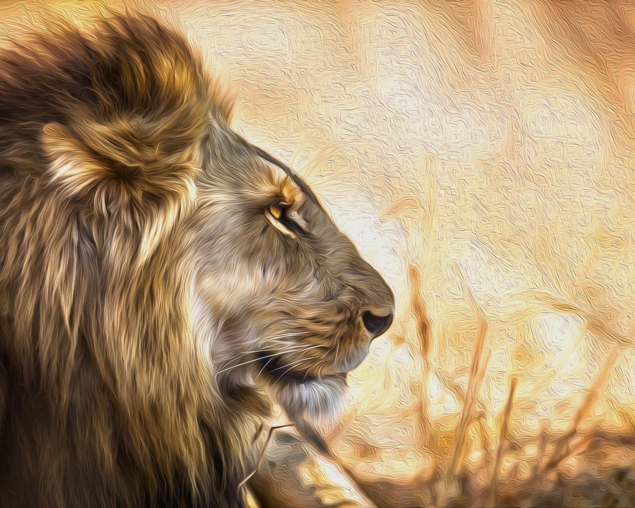 Лев Профиль - HD Wallpaper 