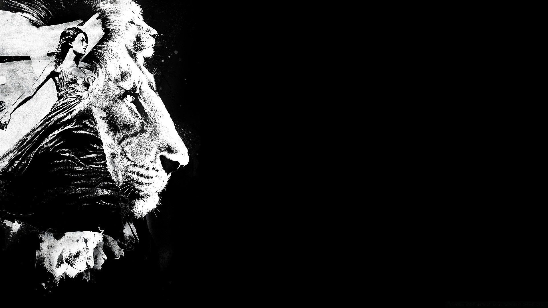 Lion Black And White Animal Wallpaper And Themes - Lion Black And White - HD Wallpaper 