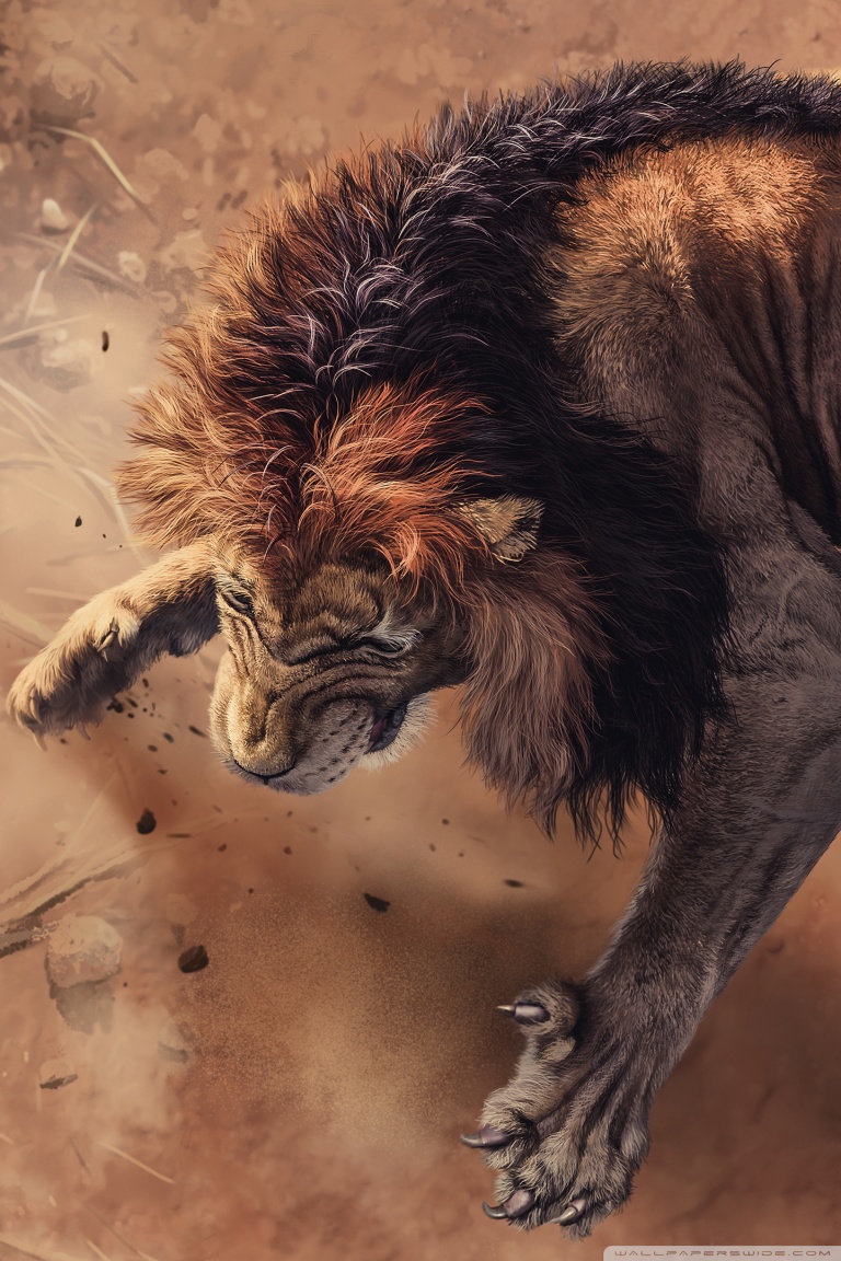 Angry Lion Face Wallpaper - 768x1152 Wallpaper Angry Lion Face Wallpaper - 768x1152 Wallpaper