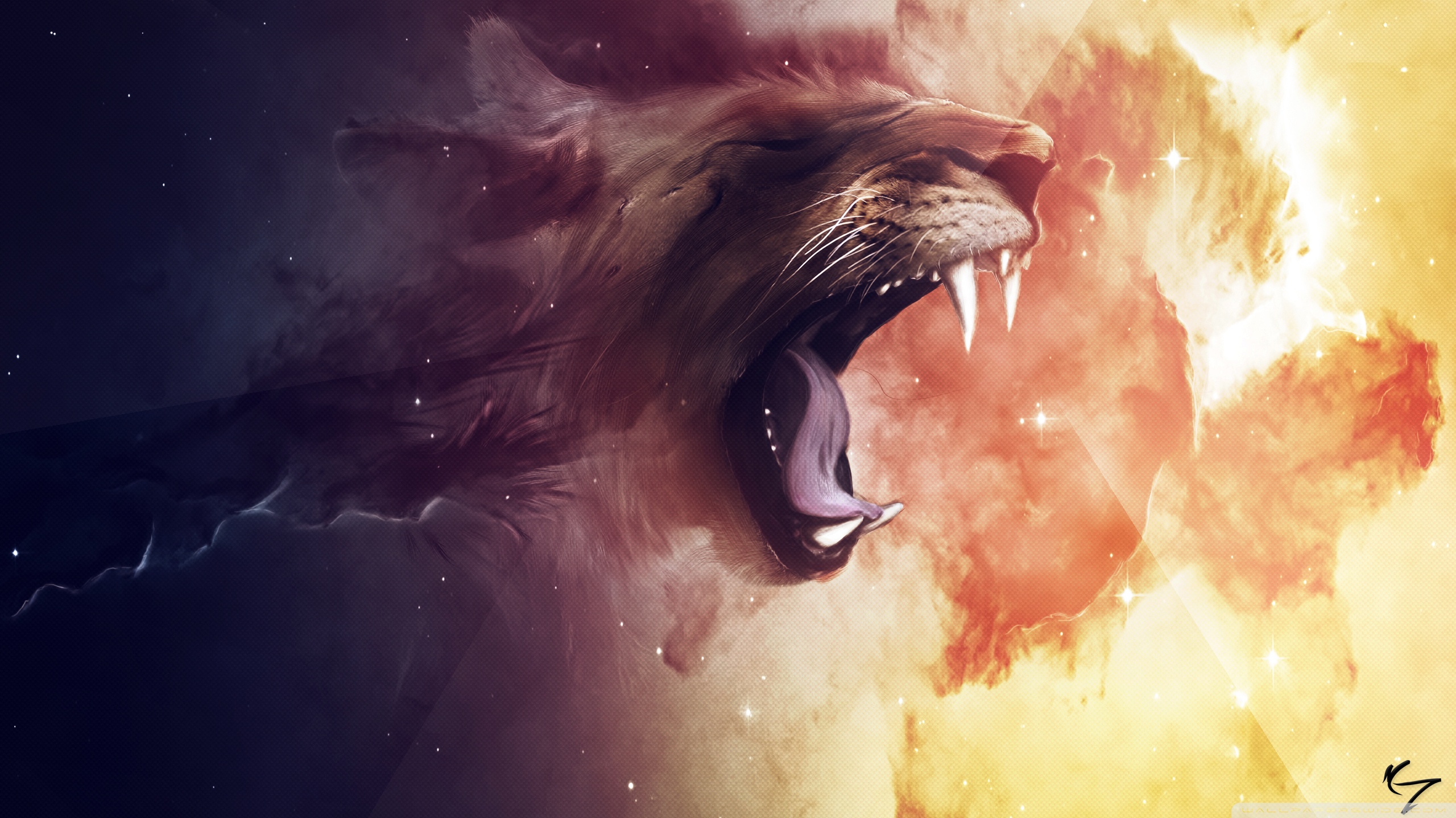 Feline Face Drawing 4k Hd Desktop Wallpaper For 4k - HD Wallpaper 