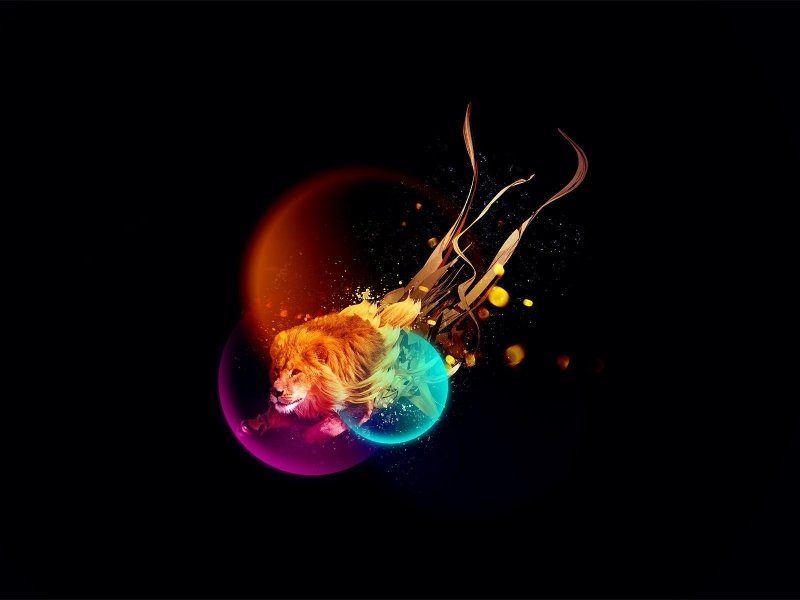 Abstract Lion Art - Fb Cover - HD Wallpaper 