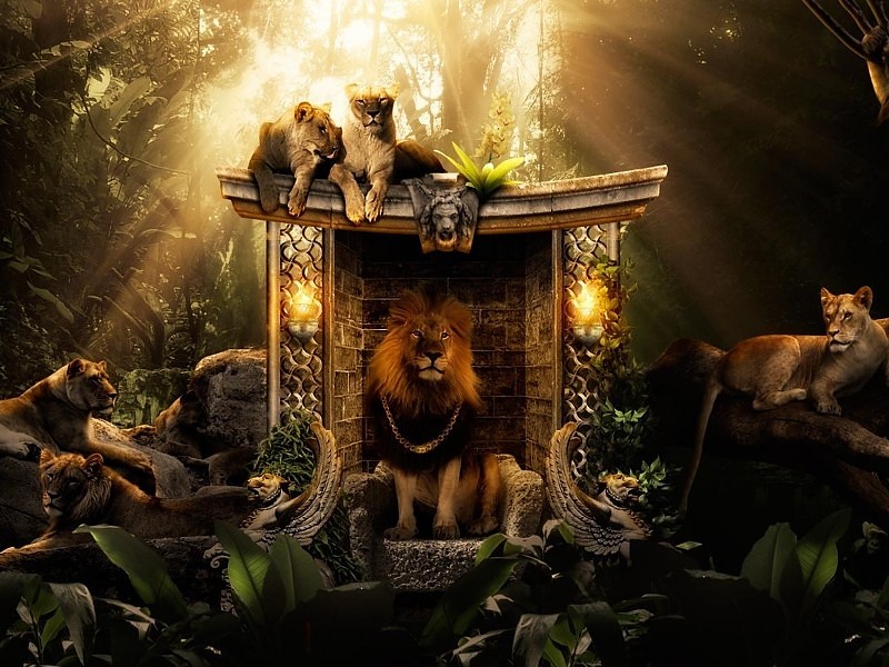 Lion King Digital Art Wallpaper - Gunz Heir To The Throne - HD Wallpaper 