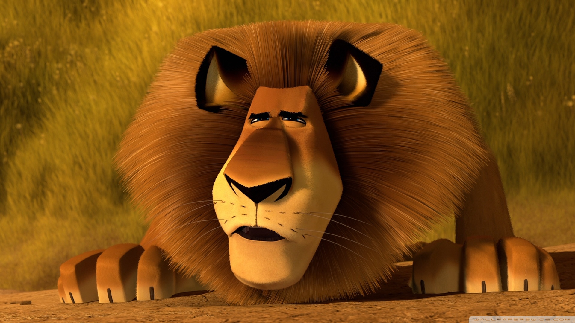 Alex The Lion Madagascar 3 - 1920x1080 Wallpaper - teahub.io