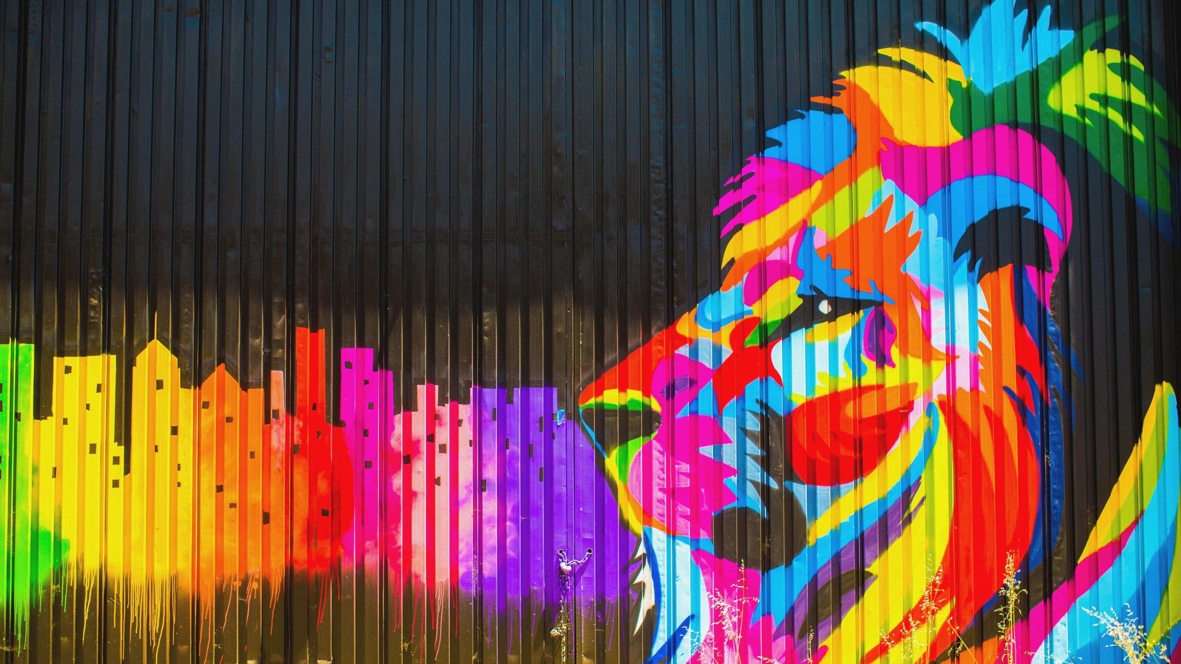 Colorful Lion New Mobile Wallpapers - Animals In Street Art Lions - HD Wallpaper 