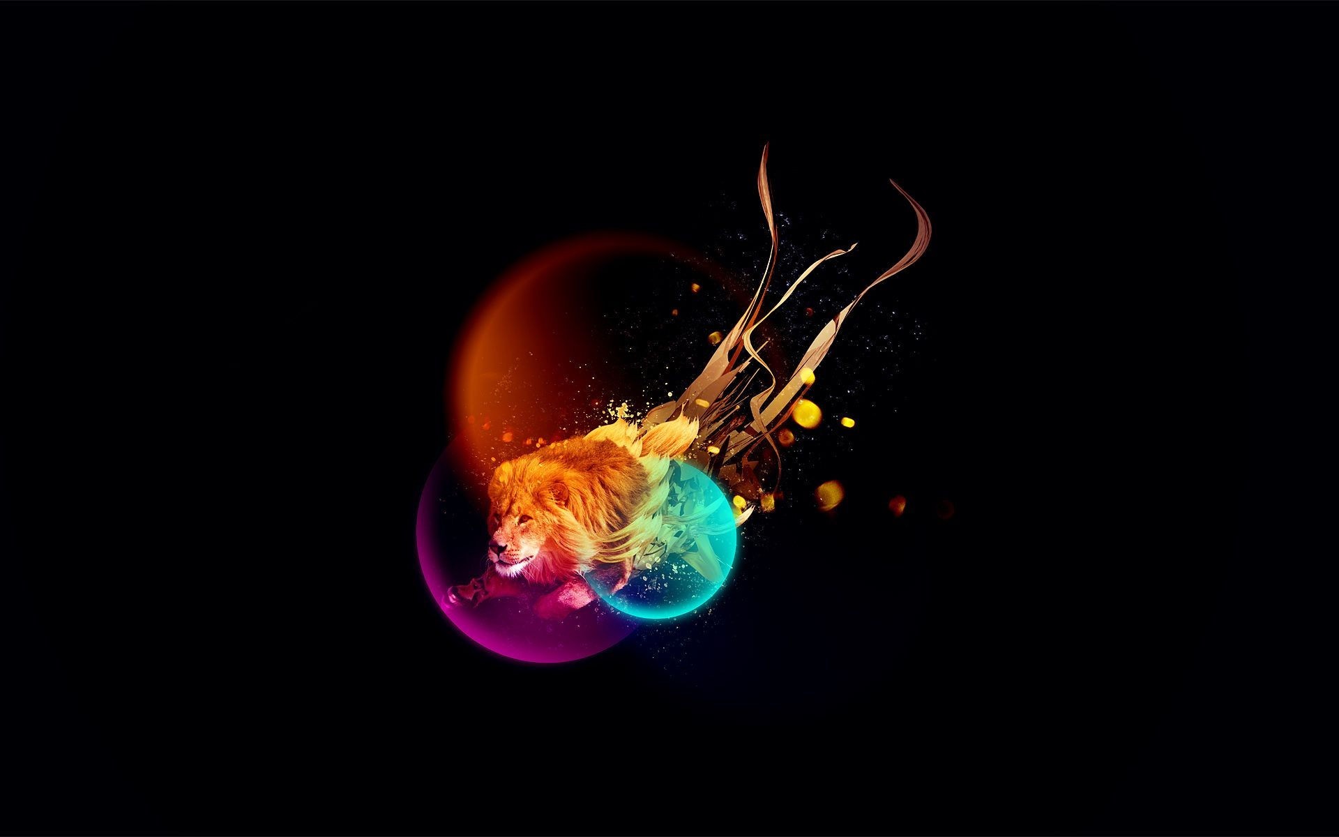 1920x1200, Colorful Abstract Lion Wallpaper 30967 
 - Jaat 3d Wallpaper Download - HD Wallpaper 