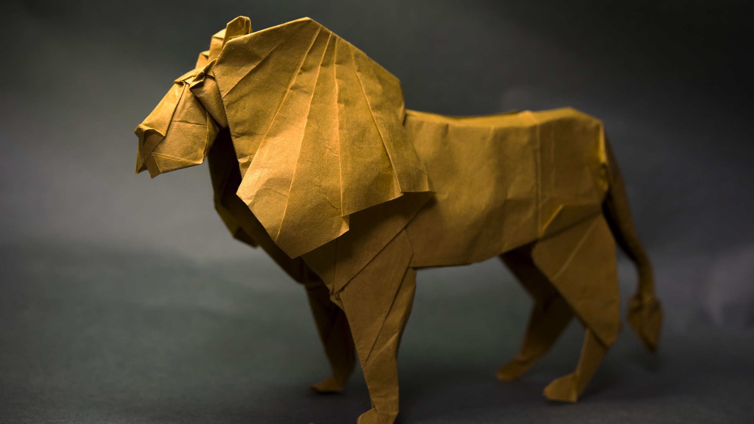 Origami, Lion, Artwork - Лев Оригами - HD Wallpaper 