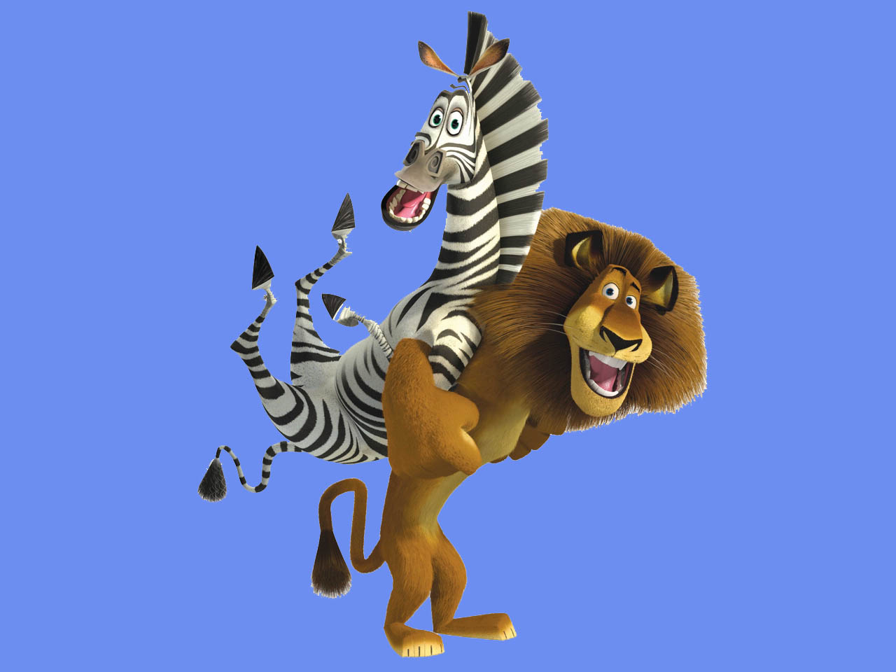 Lion And Zebra Animation High Definition Wallpapers - Alex Y Marty Madagascar - HD Wallpaper 