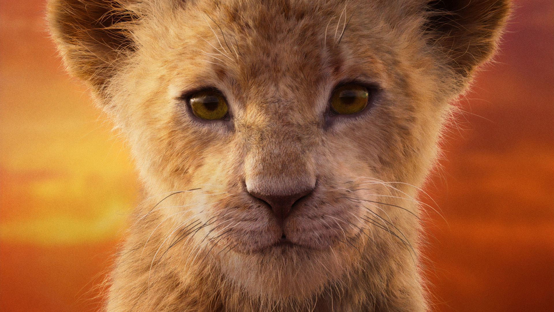 Nala Lion King 2019 - HD Wallpaper 