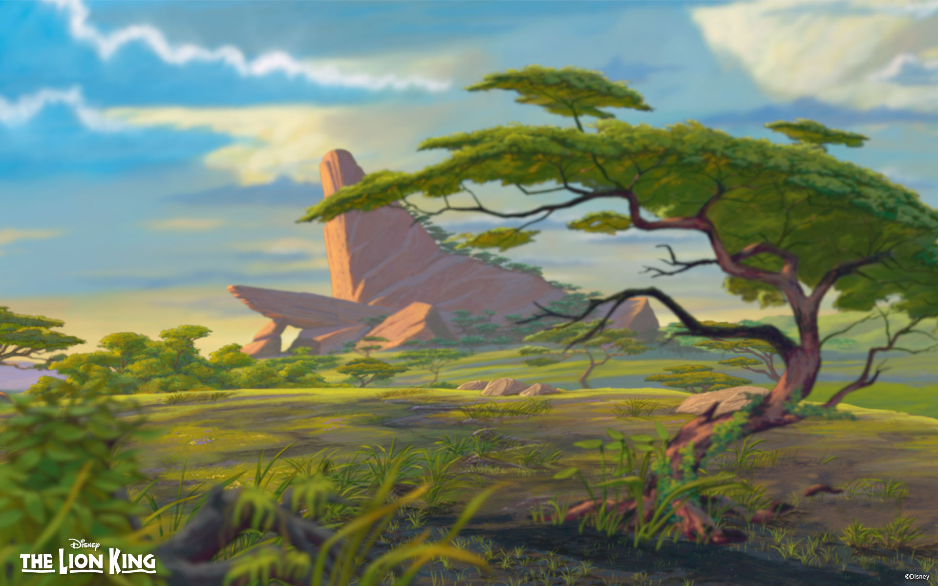 Disney The Lion King Background - HD Wallpaper 