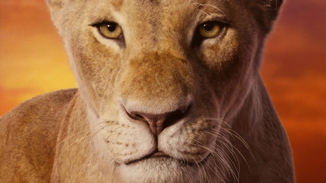 Lion King 4k Hd Wallpapers (1080p, 4k) (40297) - Nala New Lion King - HD Wallpaper 