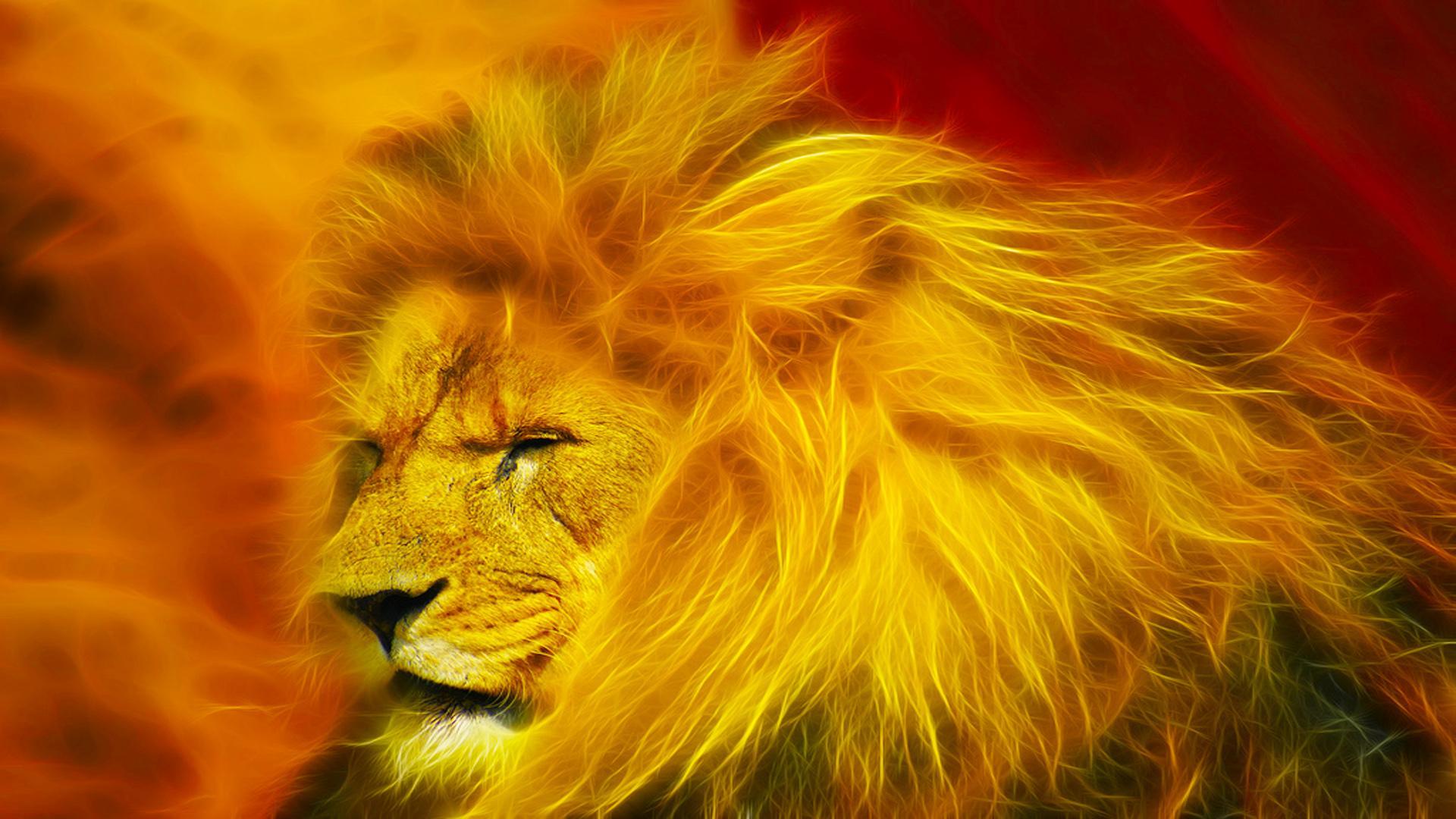 Lion King - Full Screen Lion Photos Hd - HD Wallpaper 