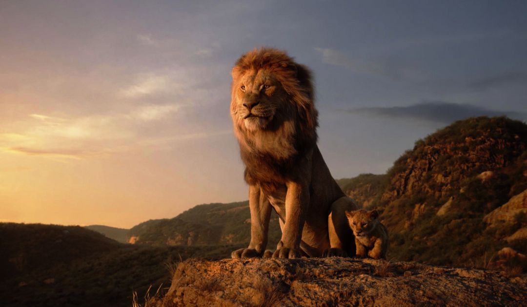Lion King 4k - König Der Löwen Kino - HD Wallpaper 