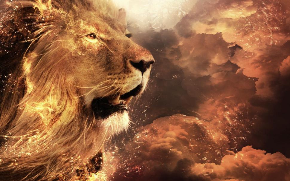 Mighty Lion Wallpaper,1920x1080 Hd Wallpaper,animals - Animal Wallpaper Hd 1920x1080 4k Pc - 970x606 Wallpaper Mighty Lion Wallpaper,1920x1080 Hd Wallpaper,animals - Animal Wallpaper Hd 1920x1080 4k Pc - 970x606 Wallpaper