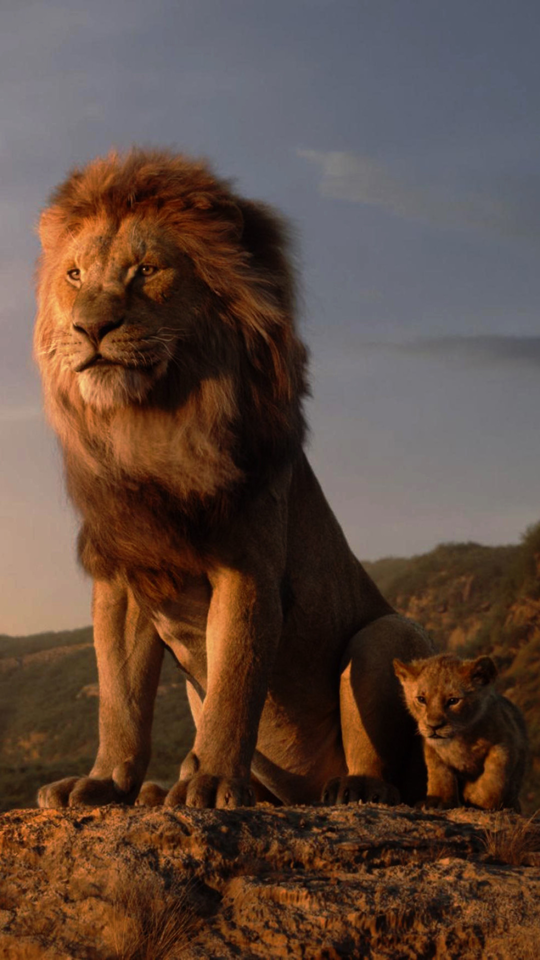 Lion King 2019 Wallpaper Iphone - HD Wallpaper 