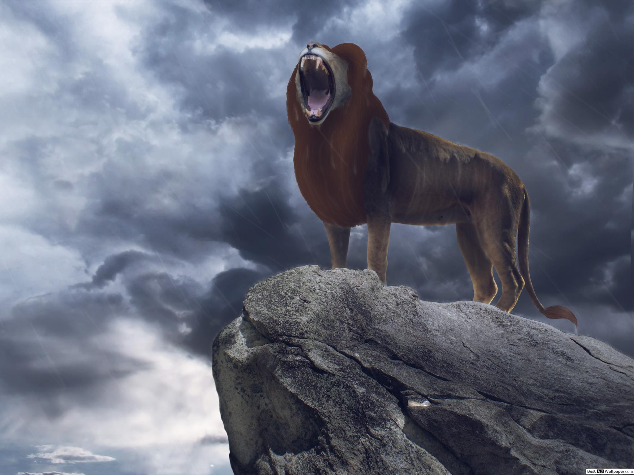 Lion King Simba Roaring - HD Wallpaper 