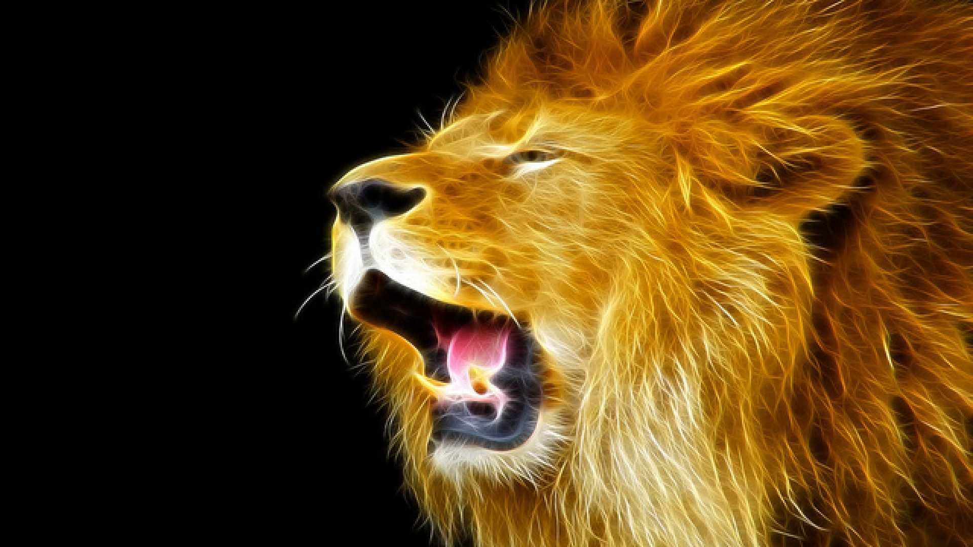 Lion Images Hd Download - HD Wallpaper 