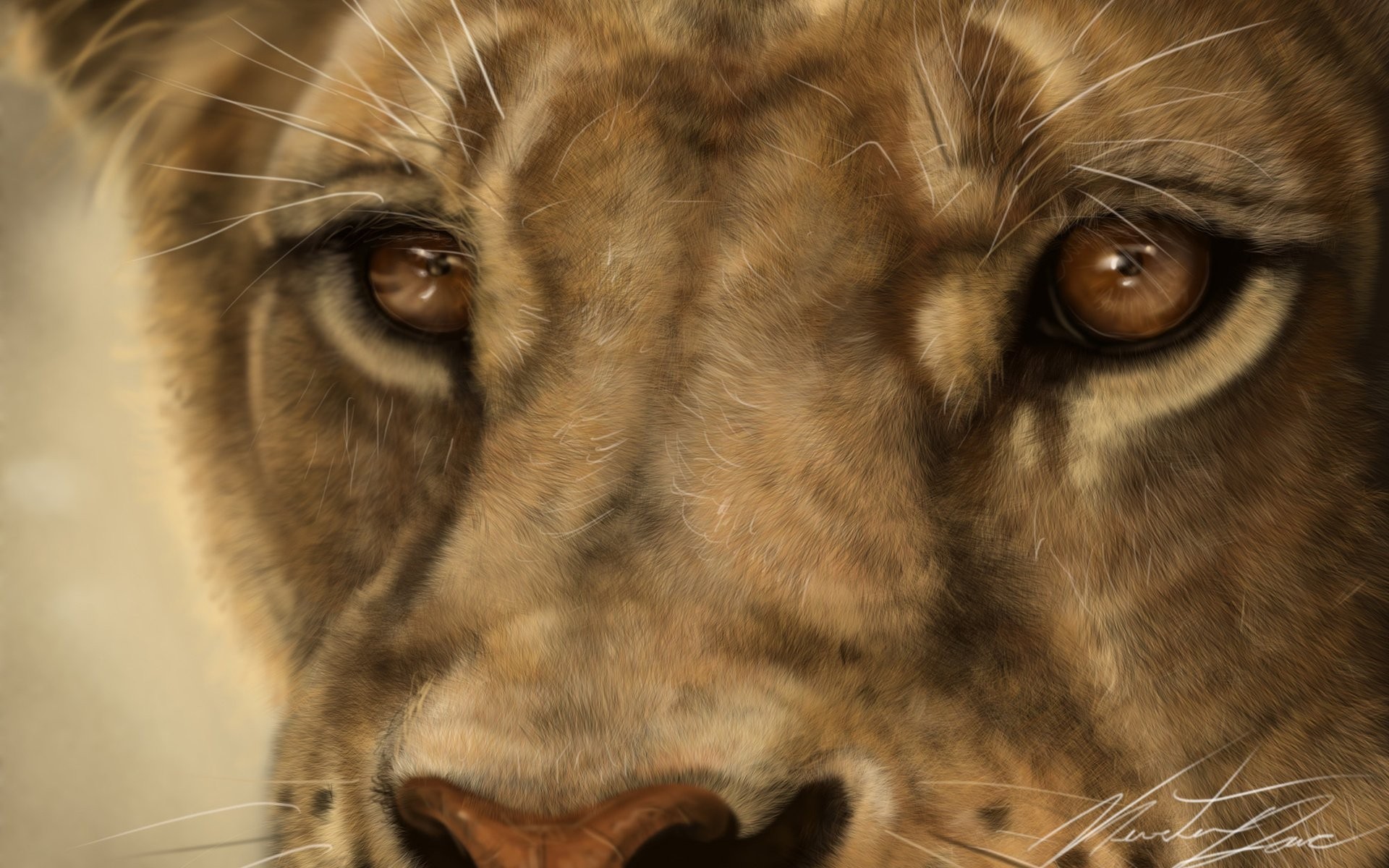 Close Up Of Paintings Of Animals - HD Wallpaper 