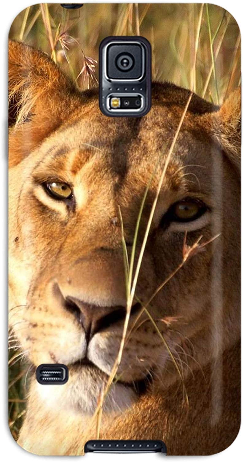 Nala Rey Leon En La Vida Real - HD Wallpaper 