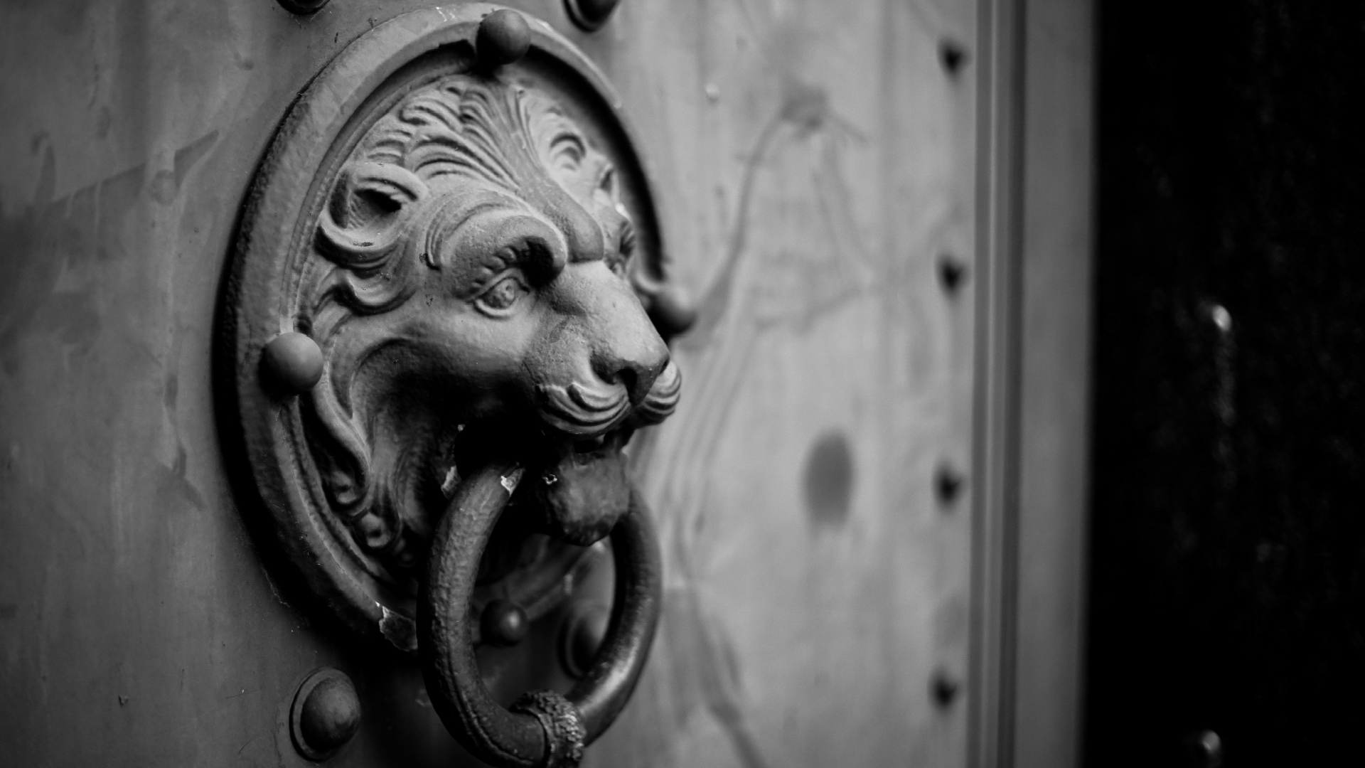 1440p - HD Wallpaper 