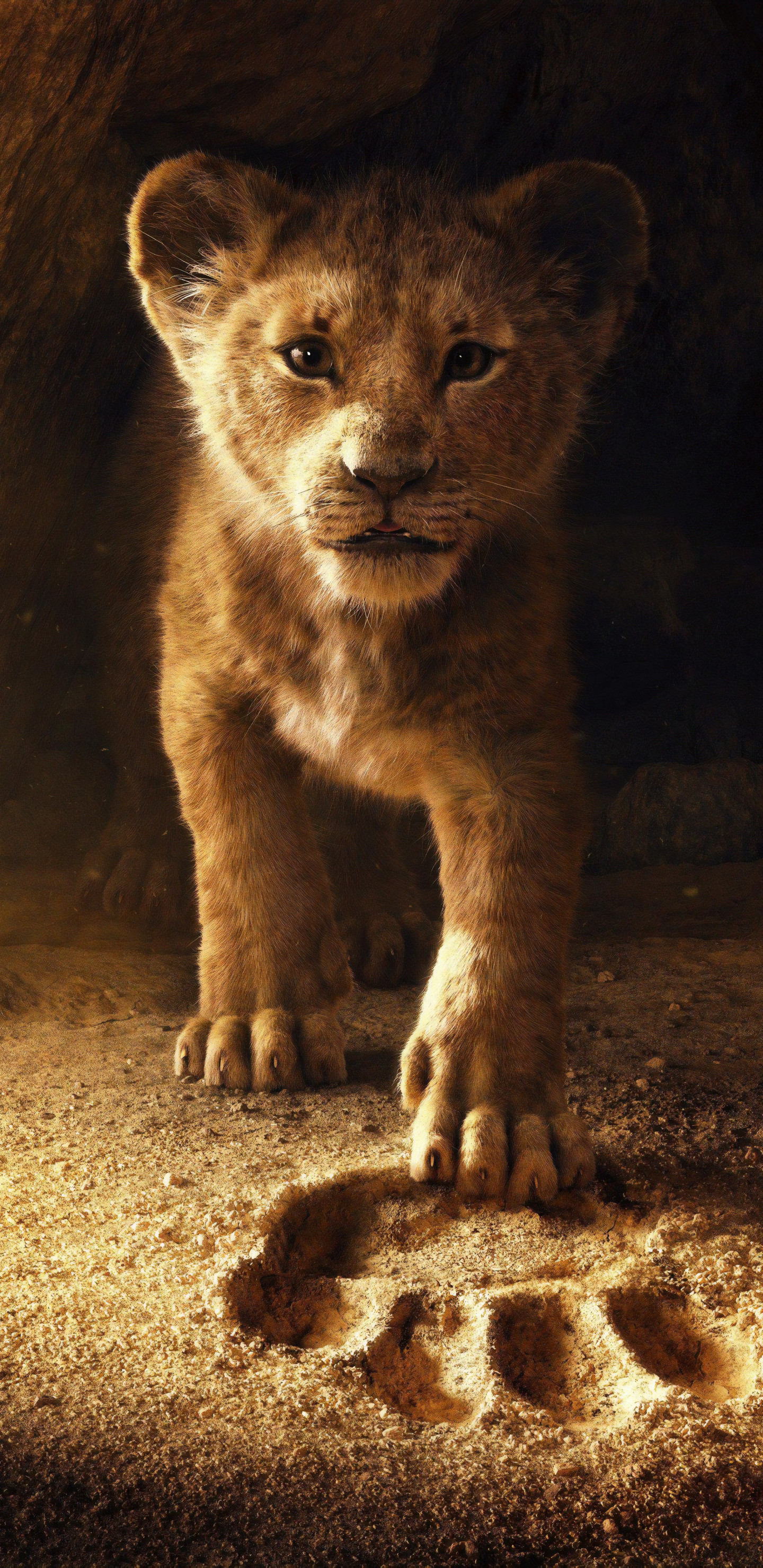 Lion King - HD Wallpaper 